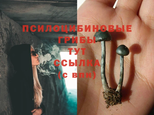 кокаин колумбия Абаза
