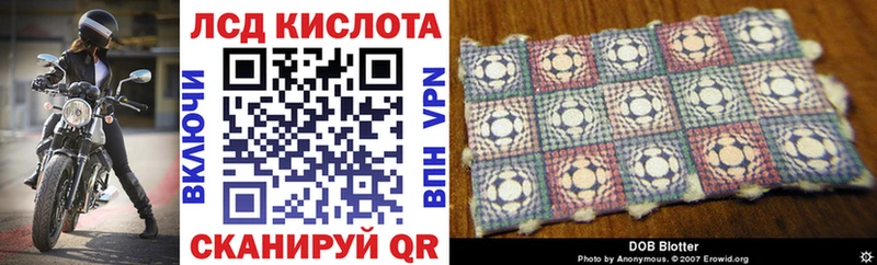 нарко площадка какой сайт  Новосибирск  Марки NBOMe 1,5мг 