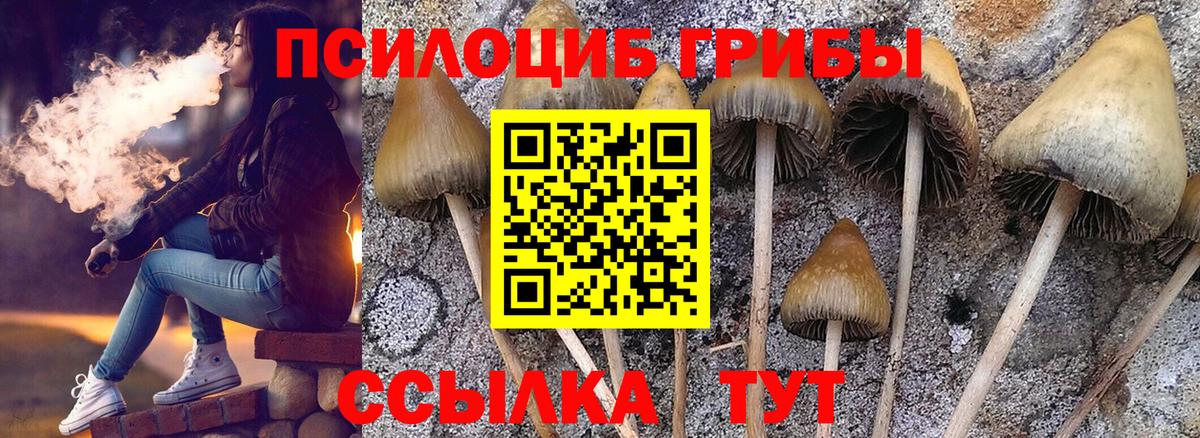 Псилоцибиновые грибы MAGIC MUSHROOMS Новосибирск