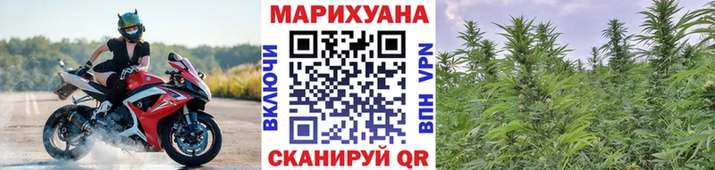 магазин наркотиков Новосибирск Бошки Шишки VHQ